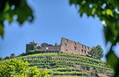 Ferienwohnung am Schlossberg