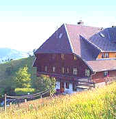 Haus zum Krummholz