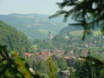 Blick in das Münstertal