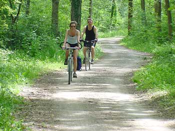 Radler in den Rheinauen